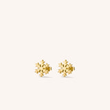Snow Flake Stud Earrings