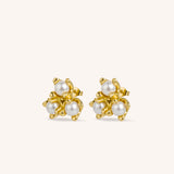 Ivy Stud Earrings
