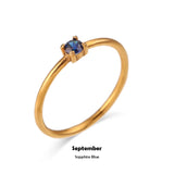 Evermine Birthstone Band