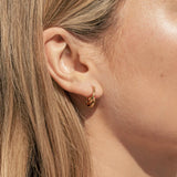 Round Spiral Hoop Earrings